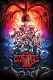 Stranger Things : Season 1-4 Dual Audio [Hindi ORG & ENG] WEB-DL 480p, 720p & 1080p HEVC | [Complete]