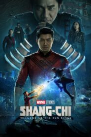 Shang-Chi and the Legend of the Ten Rings (2021) Dual Audio [Hindi ORG & ENG] WEB-DL 480p, 720p & 1080p | GDRive WEB-DL