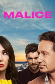 Malice : Season 1 Dual Audio [Hindi ORG & ENG ] WEB-DL 720p HEVC | [Complete]