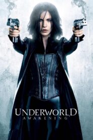 Underworld: Awakening (2012) Dual Audio [Hindi & ENG] BluRay 480p, 720p & 1080p | GDRive