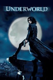 Underworld (2003) Dual Audio [Hindi & ENG] BluRay 480p, 720p & 1080p | GDRive