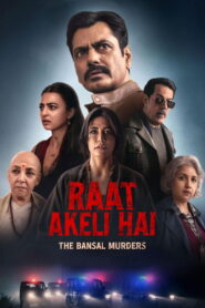 Raat Akeli Hai: The Bansal Murders (2025) Hindi WEB-DL 480p, 720p & 1080p | GDRive
