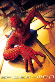 Spider-Man (2002) Dual Audio [Hindi ORG English] BluRay 480p, 720p & 1080p | GDRive