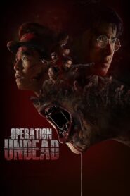 Operation Undead (2024) Dual Audio [Hindi ORG & Thai] WEB-DL 480p, 720p & 1080p | GDRive