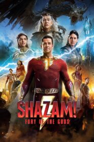 Shazam! Fury of the Gods (2023) Dual Audio [Hindi ORG & ENG] WEB-DL 480p, 720p, 1080p & 4K UHD 2160p | GDRive
