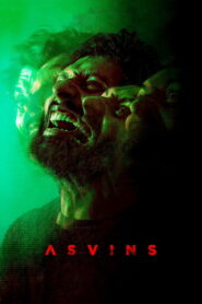 Asvins (2023) Dual Audio [Hindi ORG & Telugu] WEB-DL 480p, 720p & 1080p | GDRive