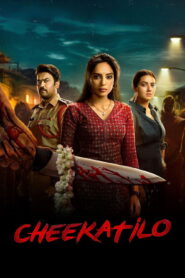 Cheekati Lo (2026) Dual Audio [Hindi ORG & Telugu] WEB-DL 480p, 720p & 1080p | GDRive