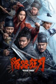 The Wild Blade of Strangers (2024) Dual Audio [Hindi ORG & Chinese] WEB-DL 480p, 720p & 1080p | GDRive