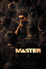 Master (2021) Dual Audio [Hindi ORG & Tamil] WEB-DL 480p, 720p & 1080p | GDRive