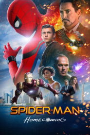 Spider-Man: Homecoming (2017) Dual Audio [Hindi ORG & ENG] BluRay 480p, 720p, 1080p & 4K UHD 2160p | GDRive