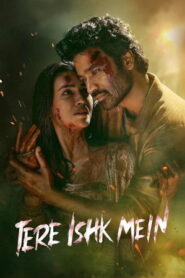 Tere Ishk Mein (2025) Hindi WEB-DL 480p, 720p & 1080p | GDRive