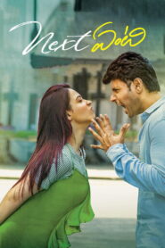 Next Enti? – Kya Bolti Tu (2018) Dual Audio [Hindi ORG & Telugu] WEB-DL 480p, 720p & 1080p | GDRive