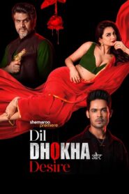 Dil Dhokha Aur Desire : Season 1 Hindi WEB-DL 480p, 720p & 1080p HEVC | [Complete]