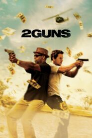 2 Guns (2013) Dual Audio [Hindi ORG & ENG] BluRay 480p, 720p & 1080p | GDRive