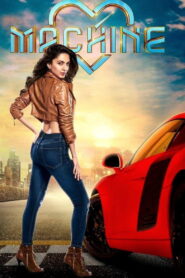 Machine (2017) Hindi WEB-DL 480p, 720p & 1080p | GDRive