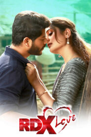 RDX Love (2019) Dual Audio [Hindi ORG & Telugu] WEB-DL 480p, 720p & 1080p | GDRive