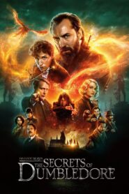 Fantastic Beasts: The Secrets of Dumbledore (2022) Dual Audio [Hindi ORG & ENG] BluRay 480p, 720p & 1080p | GDRive