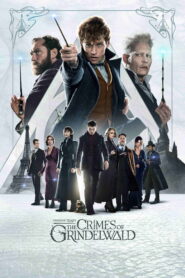 Fantastic Beasts: The Crimes of Grindelwald (2018) Dual Audio [Hindi ORG & ENG] BluRay 480p, 720p & 1080p | GDRive
