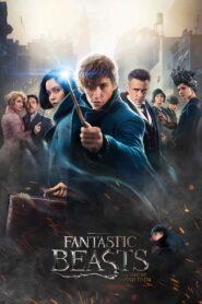 Fantastic Beasts and Where to Find Them (2016) Dual Audio [Hindi ORG & ENG] BluRay 480p, 720p & 1080p | GDRive