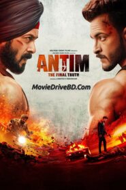Antim: The Final Truth (2021) Hindi WEB-DL 480p, 720p & 1080p | GDRive