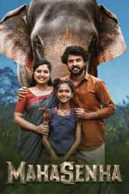 Mahasenha (2025) Dual Audio [Hindi ORG & Tamil] WEB-DL 480p, 720p & 1080p | GDRive