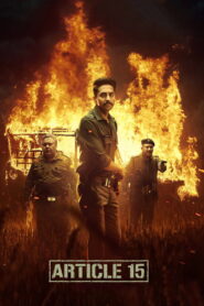 Article 15 (2019) Hindi WEB-DL 480p, 720p & 1080p | GDRive