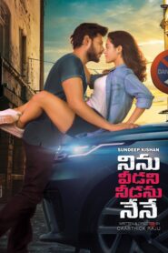 Ninu Veedani Needanu Nene (2019) Dual Audio [Hindi ORG & Telugu] WEB-DL 480p, 720p & 1080p | GDrive