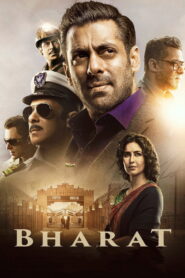 Bharat (2019) Hindi WEB-DL 480p, 720p & 1080p | GDRive