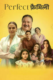 Perfect Family : Season 1 Hindi WEB-DL 480p, 720p & 1080p | [Complete]