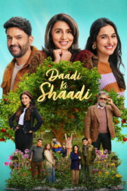 Daadi Ki Shaadi (2026) Hindi WEB-DL 480p, 720p & 1080p | GDRive