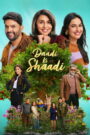 Daadi Ki Shaadi (2026) Hindi WEB-DL 480p, 720p & 1080p | GDRive
