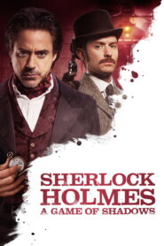 Sherlock Holmes: A Game of Shadows (2011) Dual Audio [Hindi ORG & ENG] BluRay 480p, 720p & 1080p | GDRive