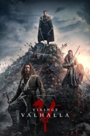 Vikings: Valhalla : Season 1-3 Dual Audio [Hindi ORG & ENG] NF WEB-DL 480p, 720p & 1080p | [Complete]