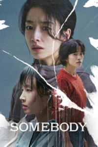 Somebody (2024) Dual Audio [Hindi ORG & Korean] WEB-DL 480p, 720p & 1080p | GDRive