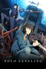 Solo Leveling : Season 1 Dual Audio [Hindi ORG & Japanese] WEB-DL 480p, 720p & 1080p HEVC | [Complete]