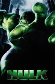 Hulk (2003) Dual Audio [Hindi ORG & ENG] BluRay 480p, 720p & 1080p | GDRive