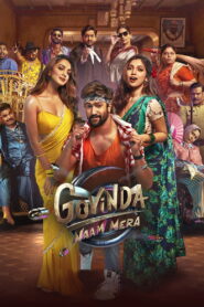 Govinda Naam Mera (2026) Hindi WEB-DL 480p, 720p & 1080p | GDRive