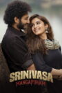 Srinivasa Mangapuram (2026) Dual Audio [Hindi ORG & Telugu] WEB-DL 480p, 720p & 1080p | GDRive