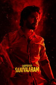 Surya’s Saturday – Saripodhaa Sanivaaram (2024) Dual Audio [Hindi ORG & Telugu] WEB-DL 480p, 720p & 1080p | GDRive