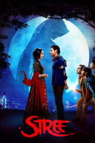 Stree (2018) Hindi WEB-DL 480p, 720p & 1080p | GDRive