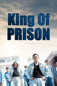 King of Prison (2020) Dual Audio [Hindi ORG & ENG] WEB-DL 480p, 720p & 1080p | GDRive