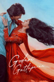 Godari Gattupaina (2026) Dual Audio [Hindi ORG & Telugu] WEB-DL 480p, 720p & 1080p | GDRive