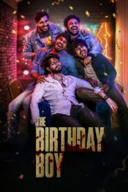 The Birthday Boy (2024) Dual Audio [Hindi ORG & Telugu] WEB-DL 480p, 720p & 1080p | GDRive