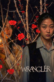 Wrangler (2026) Dual Audio [Hindi ORG & Korean] WEB-DL 480p, 720p & 1080p | GDRive
