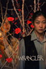 Wrangler (2026) Dual Audio [Hindi ORG & Korean] WEB-DL 480p, 720p & 1080p | GDRive