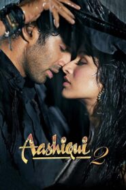 Aashiqui 2 (2013) Hindi BluRay 480P, 720p & 1080p | GDRive