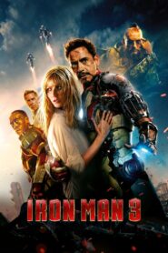 Iron Man 3 (2013) Dual Audio [Hindi ORG & ENG] BluRay 480p, 720p & 1080p | GDRive