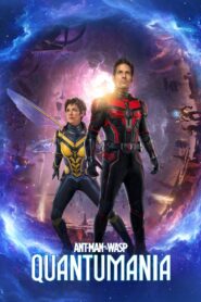 Ant-Man and the Wasp: Quantumania (2023) Dual Audio [Hindi ORG & ENG] BluRay 480p, 720p & 1080p | GDRive
