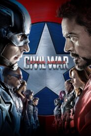 Captain America: Civil War (2016) Dual Audio [Hindi ORG & ENG] BluRay 480p, 720p & 1080p | GDRive