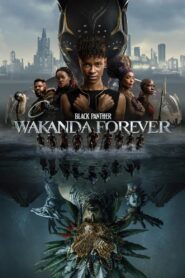 Black Panther: Wakanda Forever (2022) iMAX Dual Audio [Hindi ORG & ENG] BluRay 480p, 720p, 1080p & 2180p 4K UHD | GDRive